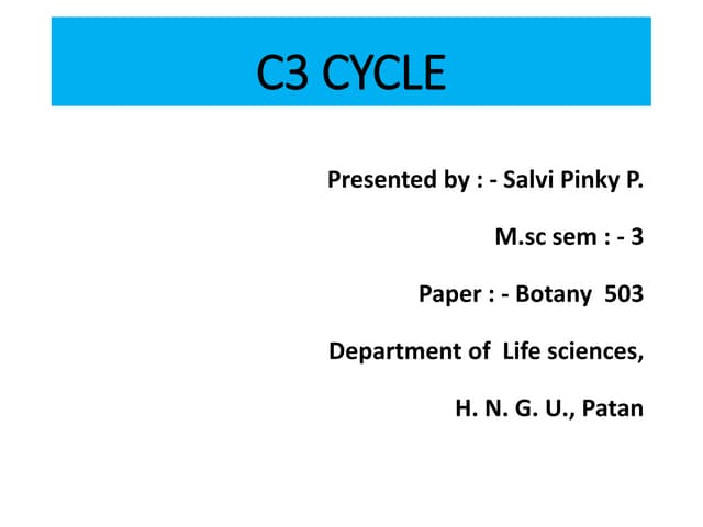 C3 cycle