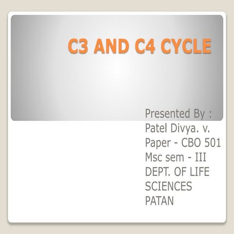 C3cycle and c4 cycle