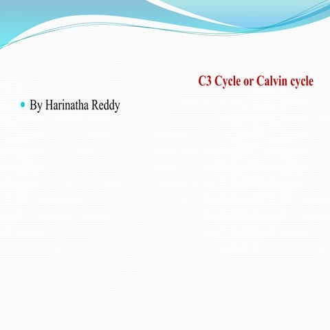 C3 cycle c4 cycle cam cycle