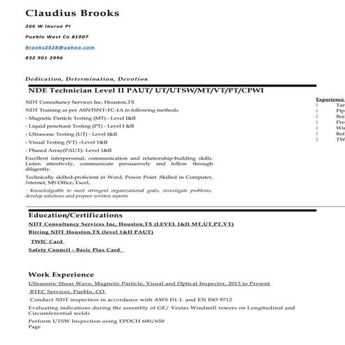 Brooks new ndt Resume 16