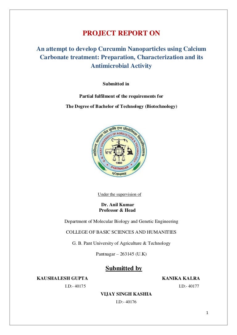 B tech project report sample image