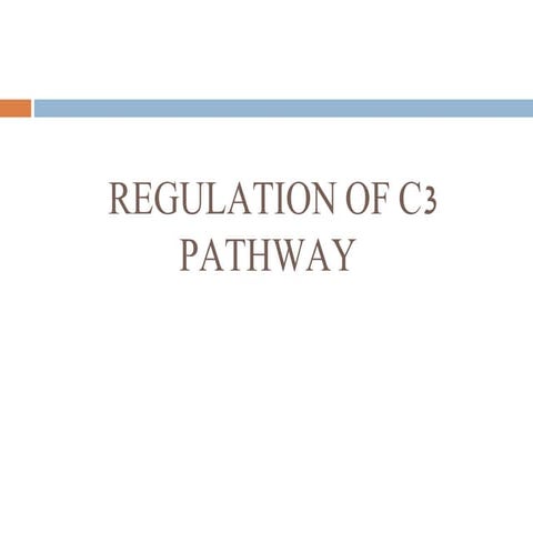 C3 pathway in plants.