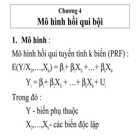 C4 bai giang kinh te luong