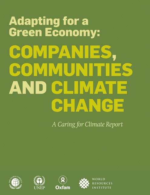 C4 c report_adapting_for_green_economy