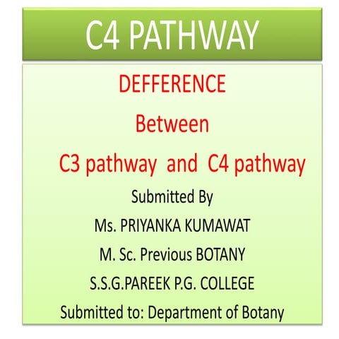C4 pathway