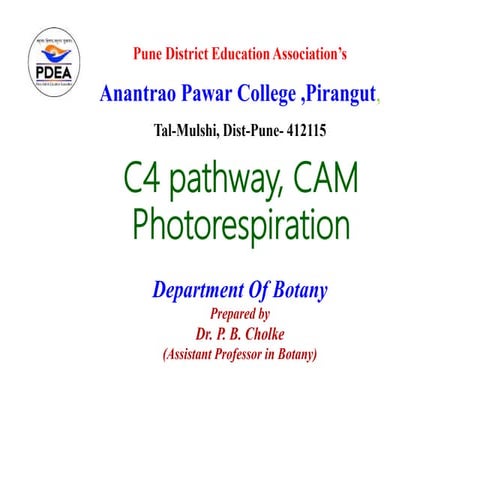 C4 pathway, cam photorespiration