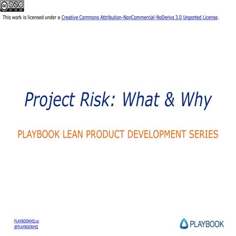 Project Risk Management