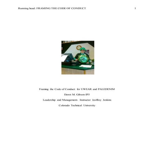 ip5 frame work of a code of conduct gibson d