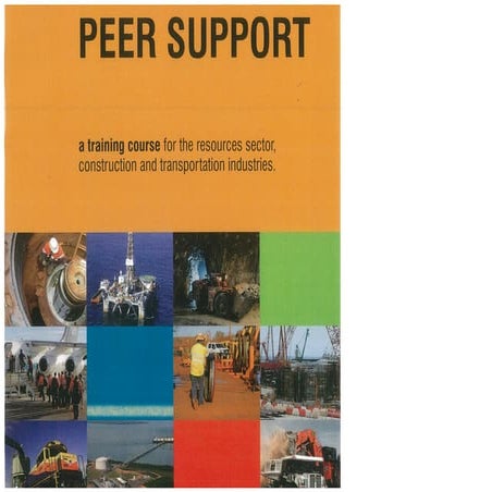 Peer Support | PDF
