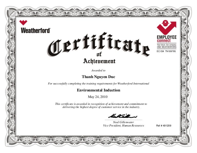 Environmental Induction