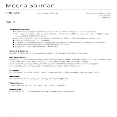 System_Engineer_Meena_Soliman_CV_Updated