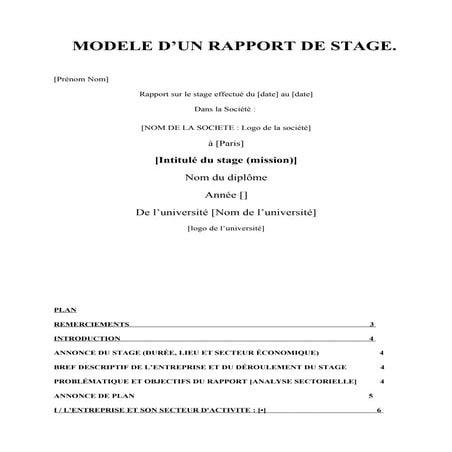 exemple de rapport de stage.pdf