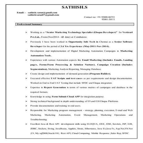 RESUME_SATHISH__Senior Marketing Technology Specialist