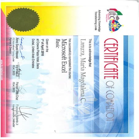 Certificate of MS Excel