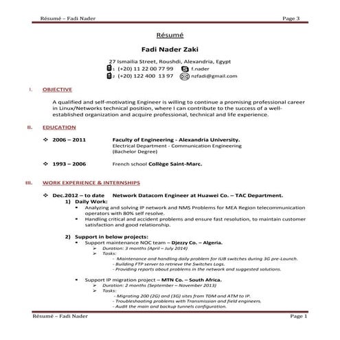 CV Salim 2015 | DOCX