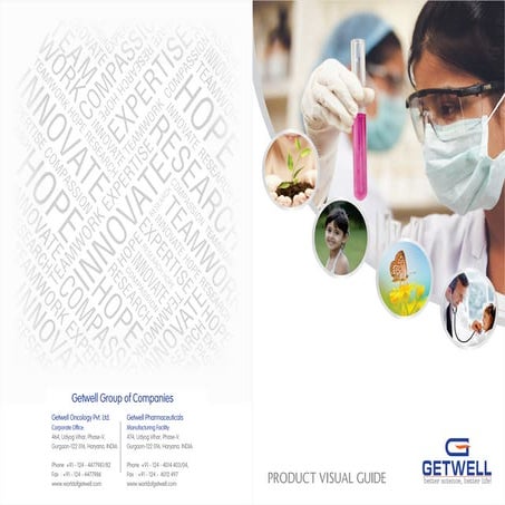 Product Visual Guide | PDF