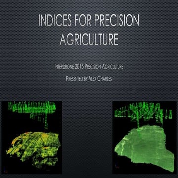Indices for Precision Agriculture