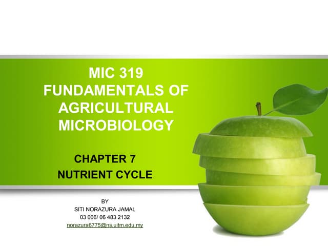 nutrients cycle