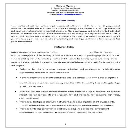 Nozipho Ngwane Updated CV