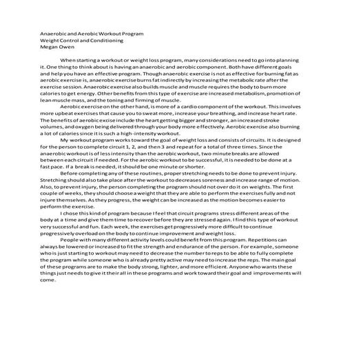 Anaerobic and aerobic workout program