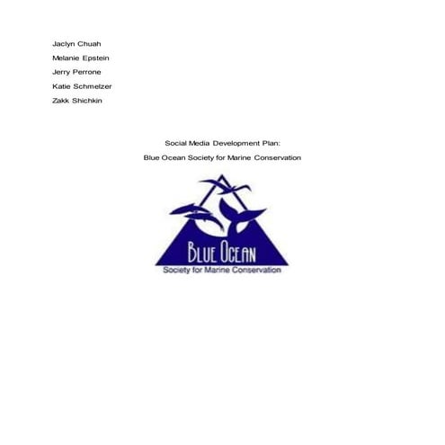 BOS Social Media Plan