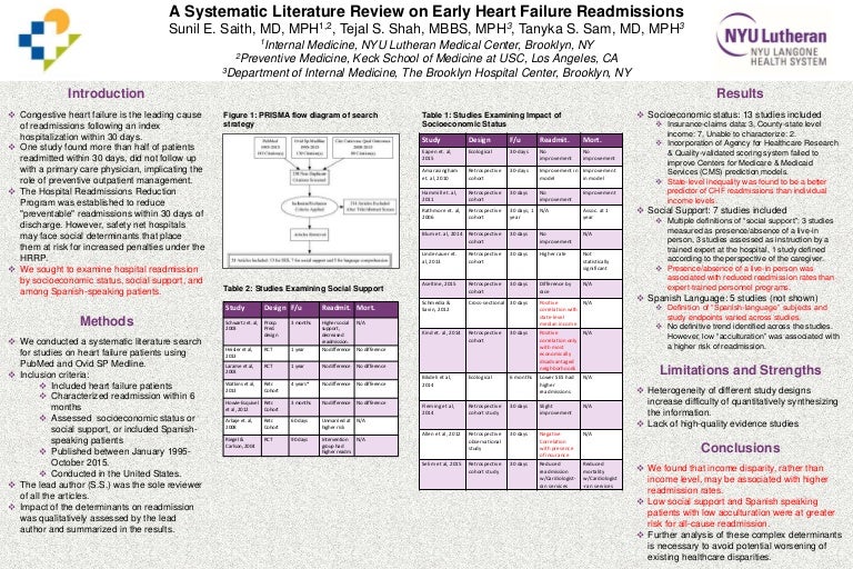 Literature review pdf image