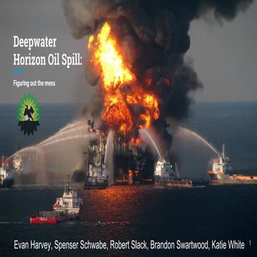 Deepwater Horizon Case Slides