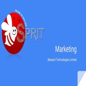 bs ppt mktg