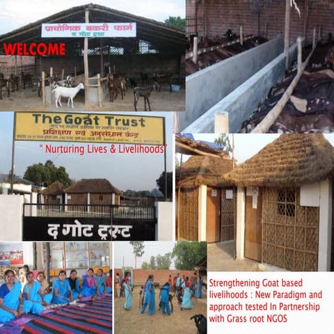 Community Insurance by The Goat trust