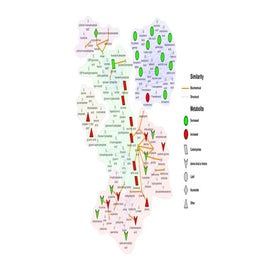 example for cytoscape