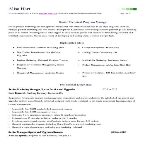 Technical Program Manager | DOCX