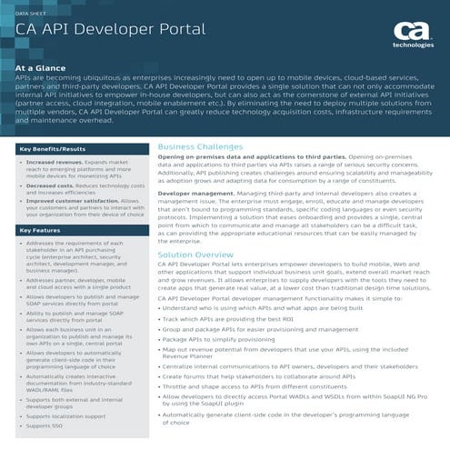 CA API Developer Portal | PDF