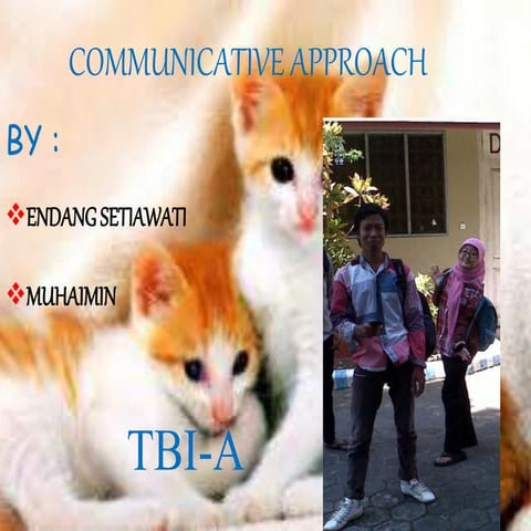 Communicative Approach 