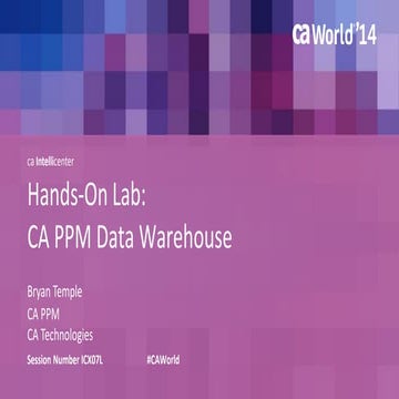 Hands-On Lab: CA PPM Data Warehouse
