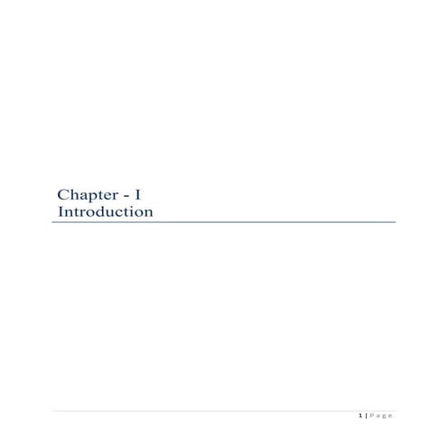 Internship Final Report-ROBI.2014