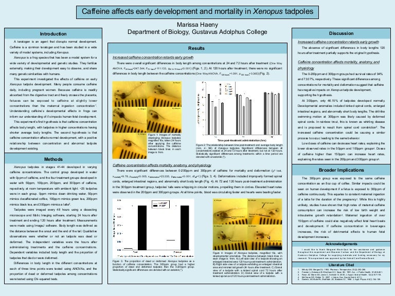 Poster presentation tips picture