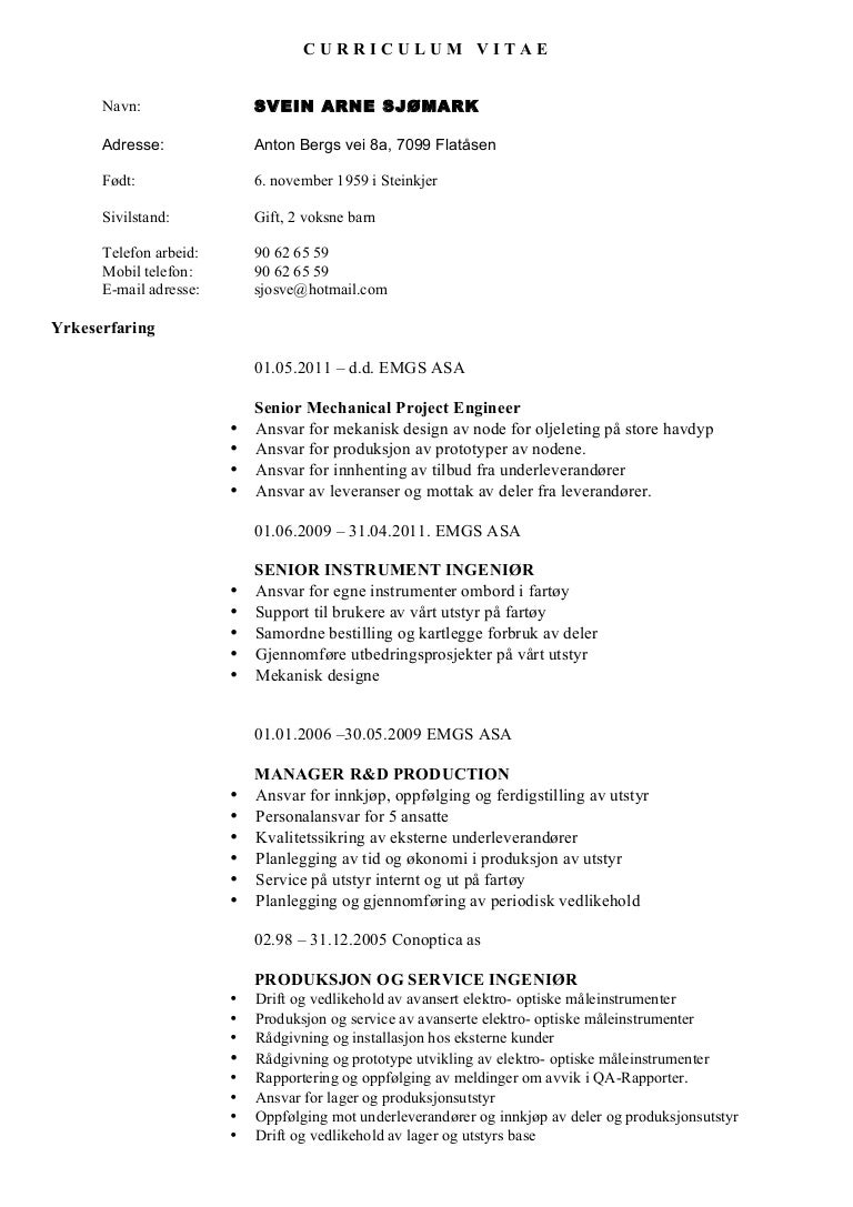 Curriculum vitae format in word picture
