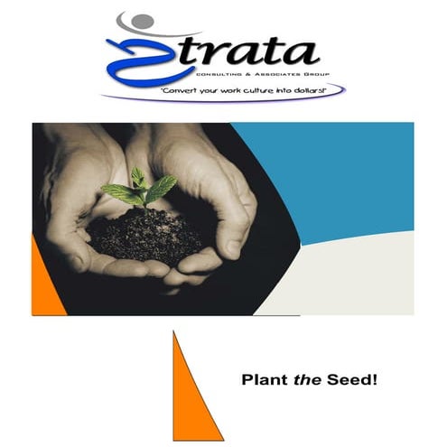 Strata Consulting Catalog