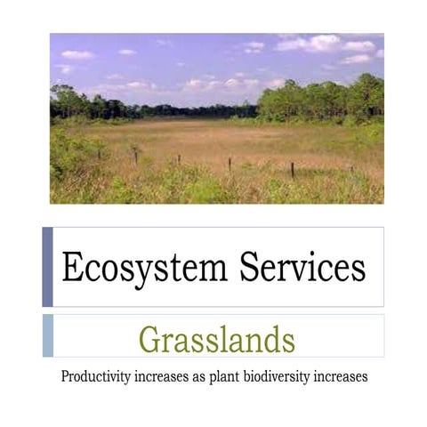 Ecosystem Services