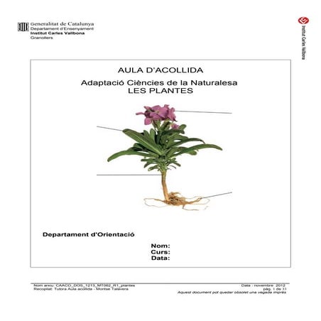 Caaco dos 1213_mt062_r1_plantes