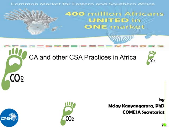 CA and other CSA practices in africa