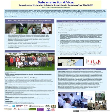 Safe maize for Africa: Capacity and Action for Aflatoxin Reduction in Eastern...