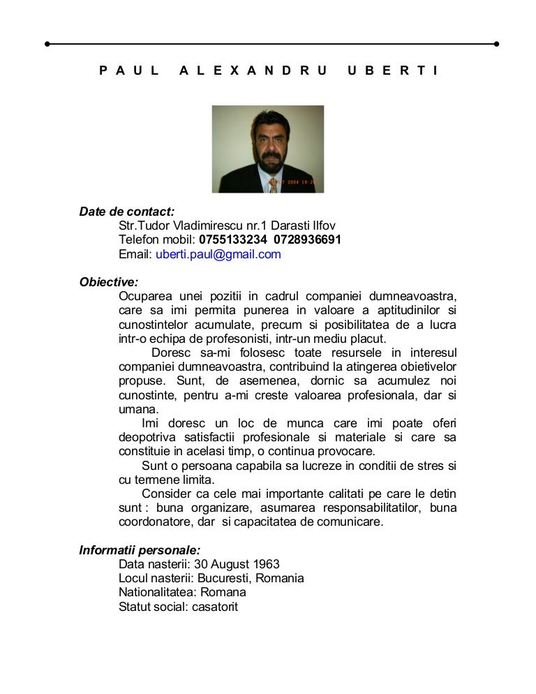 Resume summary examples image