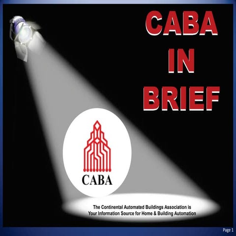 CABA In Brief Presentation