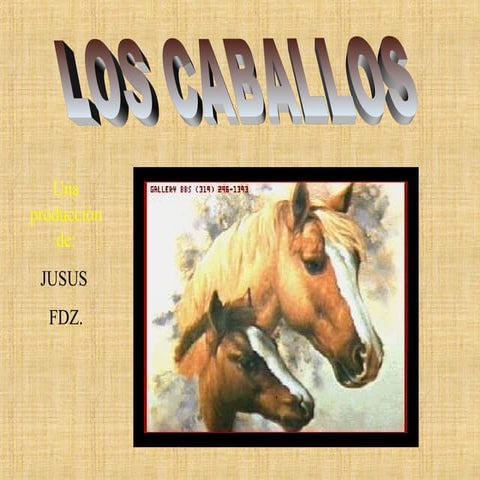 Caballos y sus caracteristicas