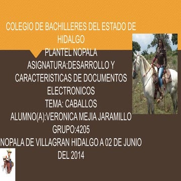 los caballos