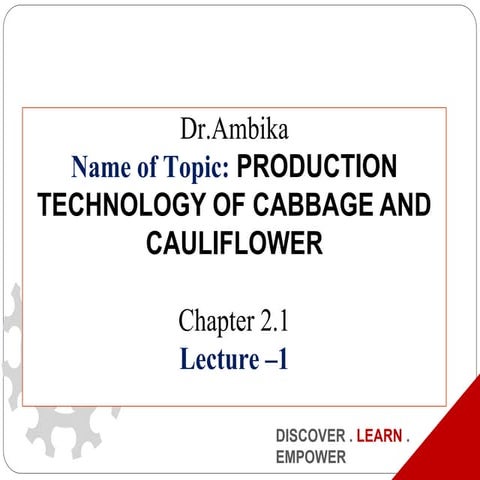 CABBAGE AND CAULIFLOWER (1).ppt