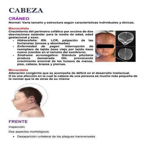 Cabeza y cuello, exploración física general