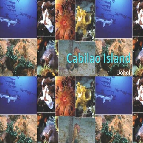 Cabilao Island
