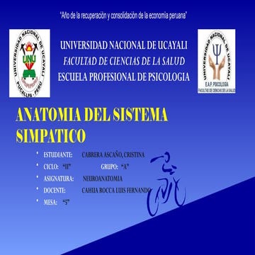 Comprehensive Anatomy and Functions of the Sympathetic Nervous System ...